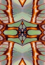 Green orange butterfly wings background texture, beautiful pattern.Work for design and art.