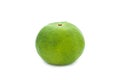Green Orange Fruit isolated. Royalty Free Stock Photo