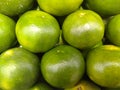 Green orange fruit wallpapper
