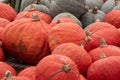 Green and orange market pumpkins with texture and stems. Royalty Free Stock Photo