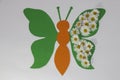 green-orange paper butterfly with many creatively arranged flowers daisy on the right wing, creative spring design, flat lying