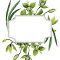 Green orchid floral botanical flowers. Watercolor background illustration set. Frame border ornament square. Royalty Free Stock Photo