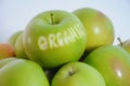 Green organic apples on the pile