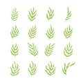 Green organic leaves icon set isolated vector illustration