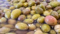 Green organic olive varieties in the market