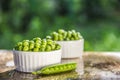 Green organic Peas. Seasonal summer vegetables. Summer snacks. Natural snacks Royalty Free Stock Photo