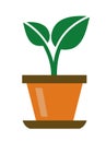 Green organic plant
