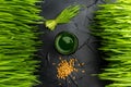 Green organic wheat grass drink over dark wood background,top view ,young grass stage