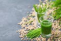 Green organic wheat grass juice. Morning drink. Superfood concept. Royalty Free Stock Photo