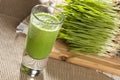 Green Organic Wheat Grass Shot