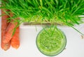 Green Organic Wheat Grass Shot ready to drink Royalty Free Stock Photo