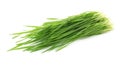 Green organic wheat grass Royalty Free Stock Photo
