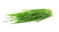 Green organic wheat grass Royalty Free Stock Photo
