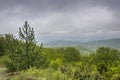 Green overgrowth of Kopaonik mountain 1 Royalty Free Stock Photo
