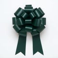 Green, oversized gift bow, gift decor, present ribbon, graphic with transparent backdrop Royalty Free Stock Photo
