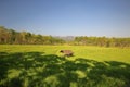 Green Paddy Fields, Portent of Good Harvest and Plant Management