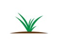 Green Paddy leaves and Wheat leaves Agriculture logo design vector icon. Royalty Free Stock Photo