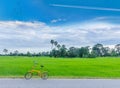 Green paddy rice field, the road, bicycle, the beautiful sky and cloud in Thailand Royalty Free Stock Photo