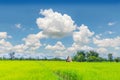 Green paddy rice field, the stack, straw, farmer to keep animal feed with beautiful sky and cloud in Thailand