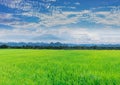 Green paddy rice field with Thailand fuji mountain view, beautiful sky, and cloud in Thailand Royalty Free Stock Photo