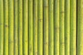 green paint bamboo fence, texture pattern abstract for background Royalty Free Stock Photo