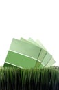 Green paint chip samples on green grass Royalty Free Stock Photo