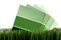 Green paint chip samples on green grass Royalty Free Stock Photo