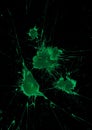 green paint splash on black background Royalty Free Stock Photo