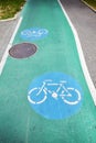 Green painted asphalt bicycle lane on a street