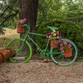 Green painted decorative bike holding flower
