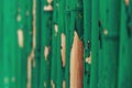 Green Painted old Bamboo Fence, wall background Royalty Free Stock Photo