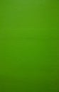 Green painted plain background. Texture of plastered wall Royalty Free Stock Photo