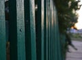 Green painted wooden old fashioned fence. Shiny surface. Close up. Tall tree behind. Autumn sunset. Cityscape Royalty Free Stock Photo