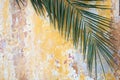 Green palm branch on a old cracked vintage orange wall as tourism, travel, antique, exotic, history background