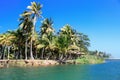 Green palm forest, beautiful landscape in Baracoa Royalty Free Stock Photo