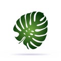 Green palm leaf icon