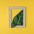 Green palm leaf inside of a frame. Yellow background Royalty Free Stock Photo