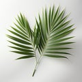 Tropical Palm Leaves: Minimal Retouching 3d Render