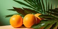 Green palm leaf and oranges on pale orange paper