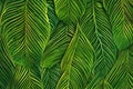 green palm leaf pattern background Royalty Free Stock Photo