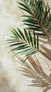 Green palm leaf shadow on beige wall, minimalistic nature background Royalty Free Stock Photo