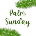 Green Palm leafs icon. Vector illustration for the Christian holiday. Palm Sunday text handwritten font.