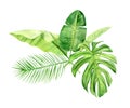 Green palm leaves bouquet. Tropical plant. Hand painted watercolor illustration isolated on white background. Realistic