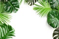 Green palm leaves and monsteras on a white background. Room for text, copy, lettering. Generative AI