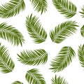Green palm leaves on white background seamsless pattern