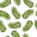 Green palm leaves on white background seamsless pattern Royalty Free Stock Photo