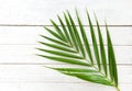 Green palm leaves on white wooden background top view / Betel palm leaf Royalty Free Stock Photo