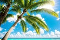 a green palm tree against a blue sky and white clouds. Royalty Free Stock Photo