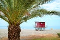 Green palm tree on the empty beach with red lifeguard hut in the background Royalty Free Stock Photo