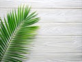 green palm tree leafs on a white background Royalty Free Stock Photo